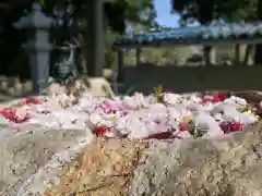 立志神社の手水