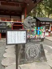 日光二荒山神社の狛犬