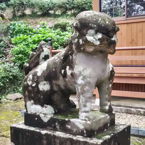 堤雄神社の狛犬