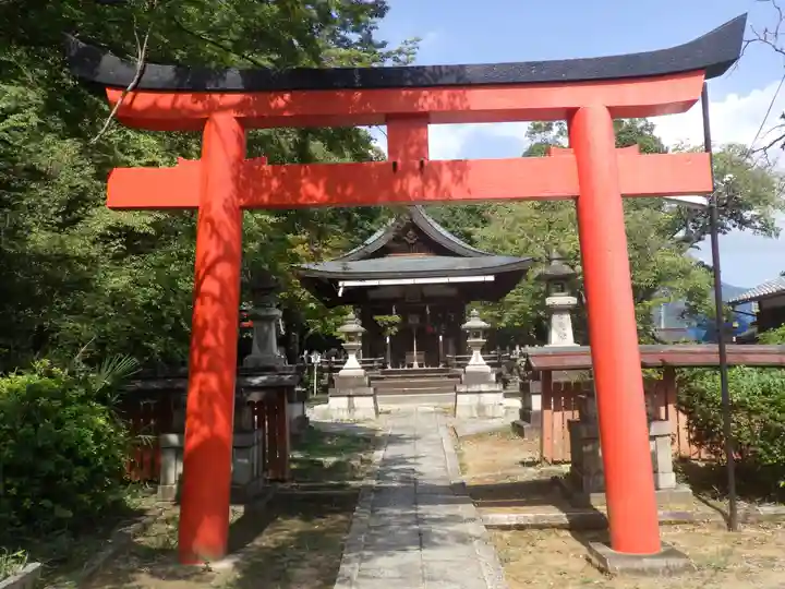 竹中稲荷神社(吉田神社末社)の鳥居