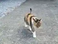 前玉神社の動物