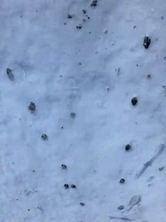 小滝不動尊(兵庫県)