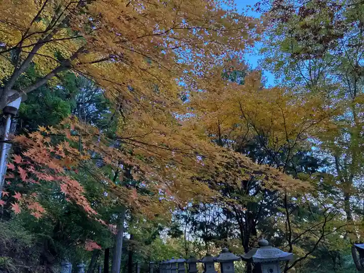 焼山寺(徳島県)