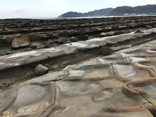 青島神社（青島神宮）の自然