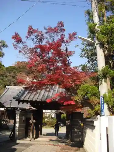 浄光明寺の山門・神門