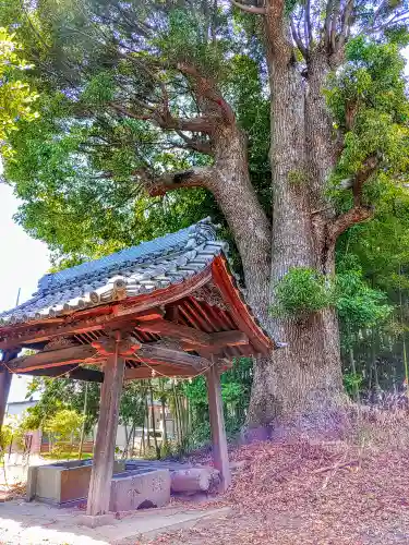 神明津島合社（宮越）の手水