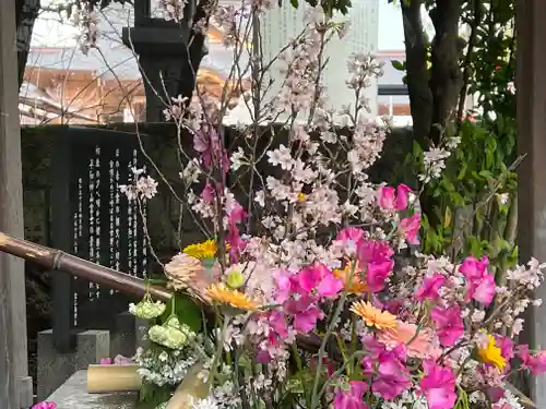 富知六所浅間神社の手水