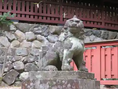 日枝神社の狛犬
