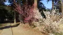 天満神社の自然