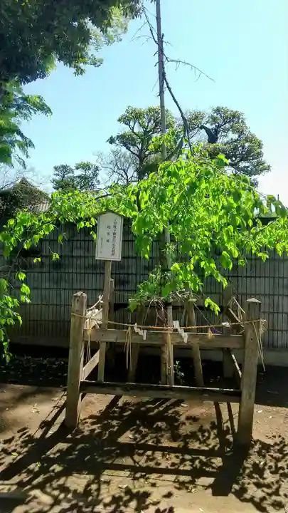 一言主神社(茨城県)