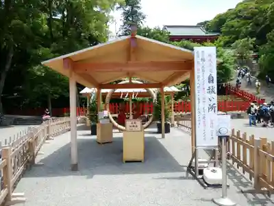 鶴岡八幡宮(神奈川県)
