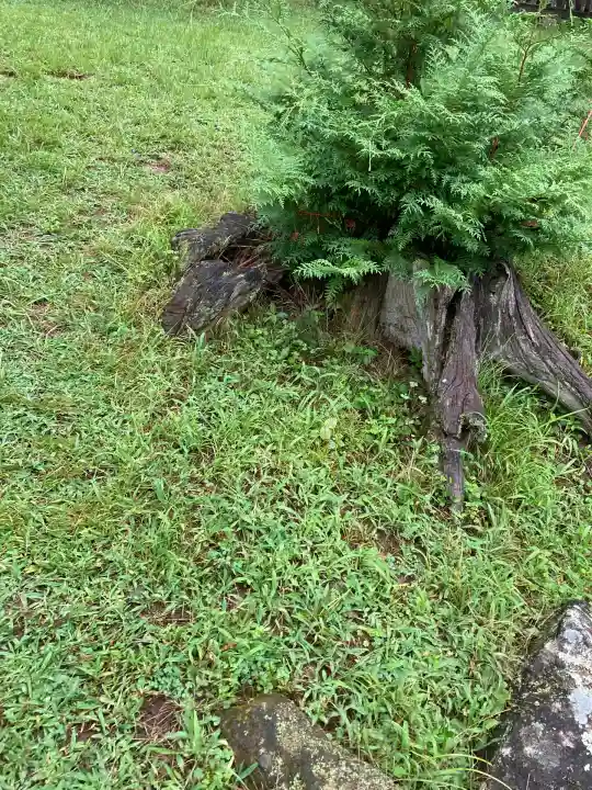 新海三社神社(長野県)