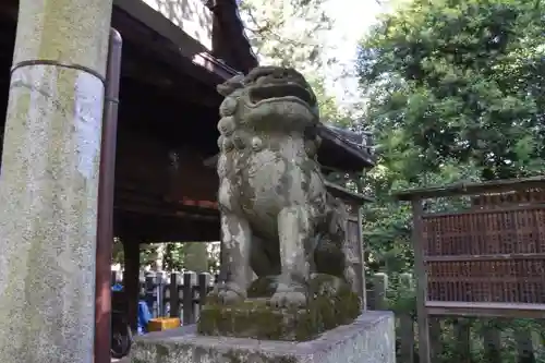 白雲神社の狛犬