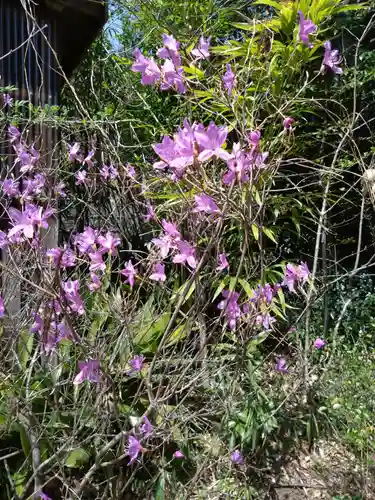 天岩戸神社(宮崎県)