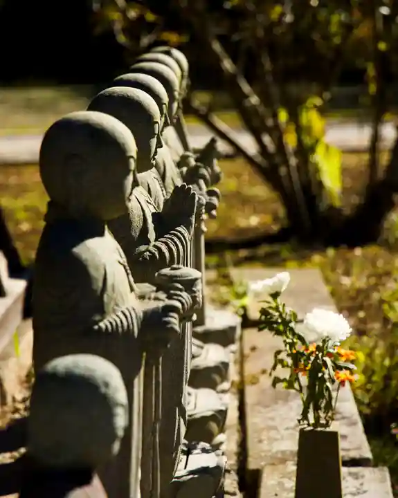 泰寧寺(群馬県)