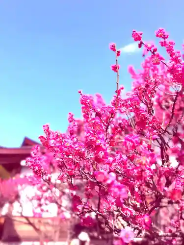 武蔵第六天神社の自然