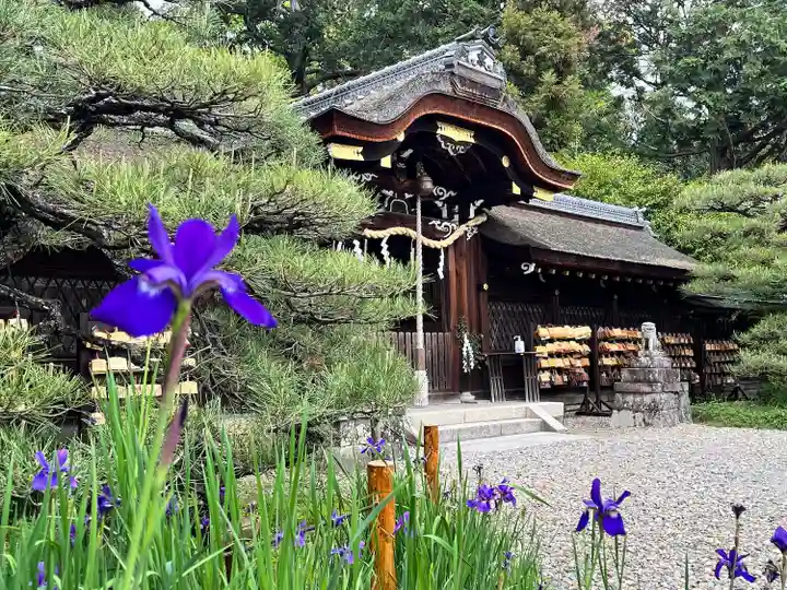 梅宮大社(京都府)