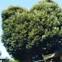 星宮神社の自然