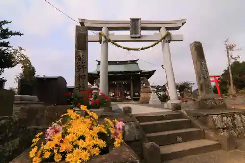 熊野福藏神社の鳥居