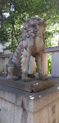 渋谷氷川神社の狛犬