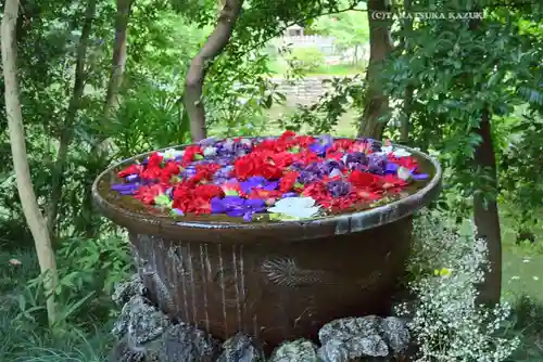 武蔵一宮氷川神社(埼玉県)