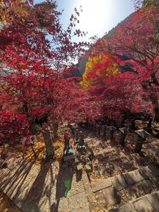 大山寺(神奈川県)