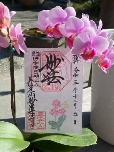 妙蓮寺の御朱印