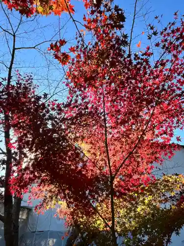 善水寺(滋賀県)