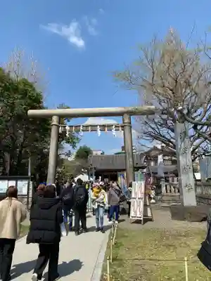 浅草神社の鳥居