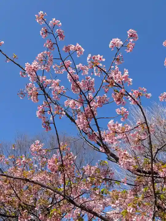鳩森八幡神社(東京都)