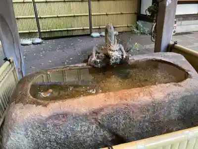 瀧泉寺（目黒不動尊）(東京都)