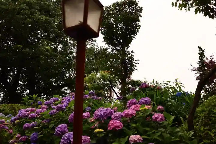 白山神社(東京都)