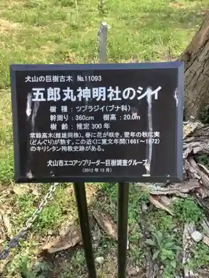 神明社（五郎丸神明社）のその他建物