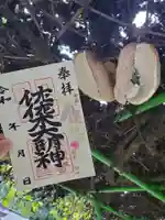 季節の花御朱印　　あけび・むべ　700円