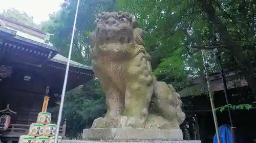 小金井神社の狛犬