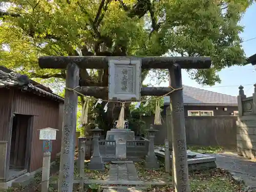 大麻比古神社(徳島県)