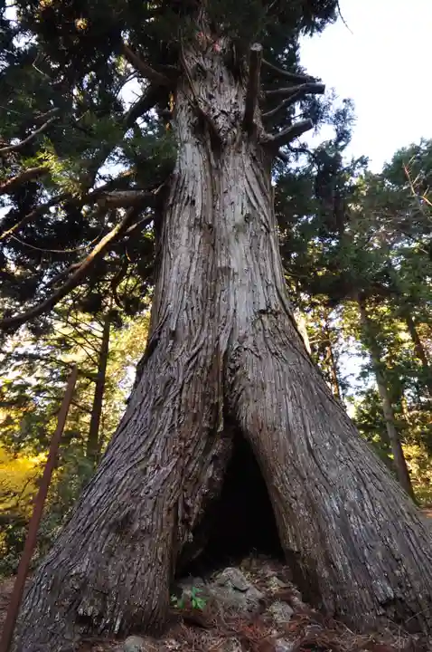 三瀧神社(愛媛県)