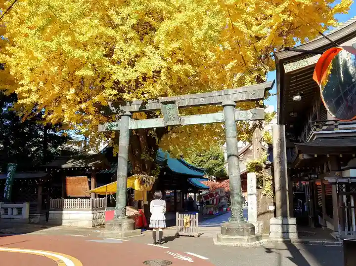 湯島天満宮の鳥居