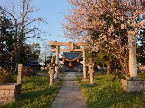 天満宮・秋葉神社の鳥居