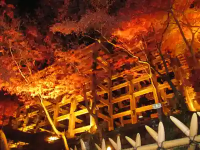清水寺の本殿・本堂