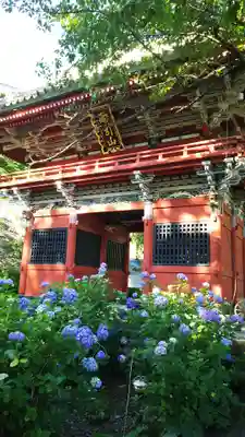 楽法寺(雨引観音)の山門・神門
