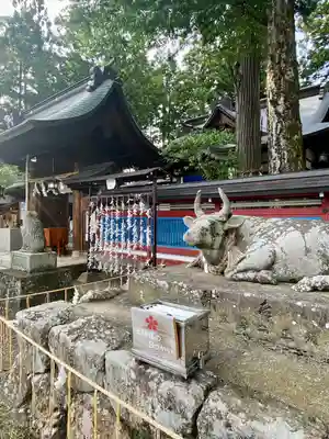 飛驒天満宮(岐阜県)
