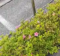 西方山極楽寺の自然