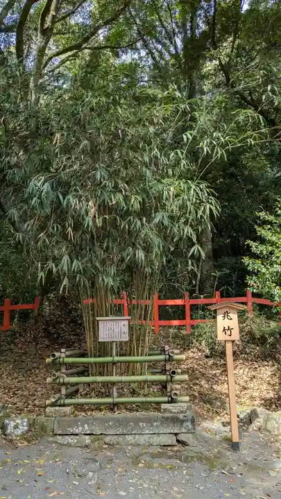 宇佐神宮の自然