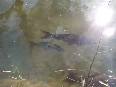 廣瀬神社(埼玉県)