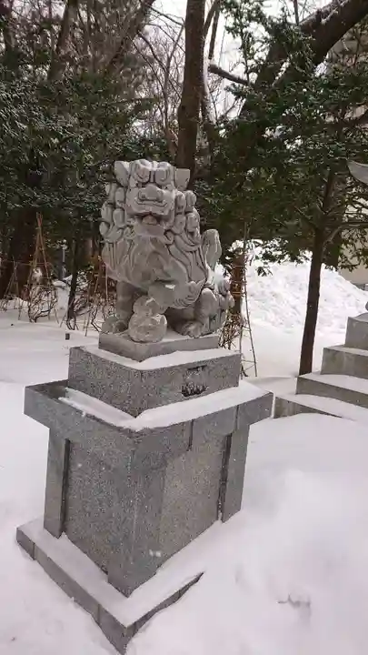 琴似神社の狛犬