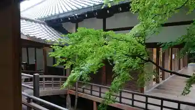 禅林寺（永観堂）の本殿・本堂