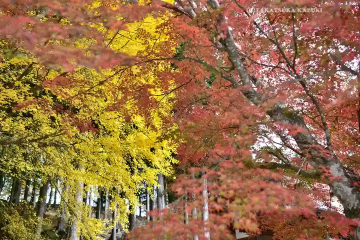 三峯神社(埼玉県)