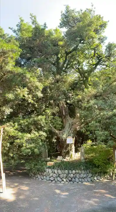 白羽神社の庭園