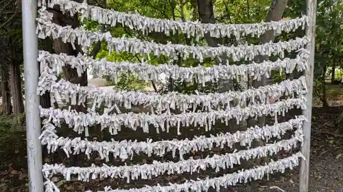 遠軽神社のおみくじ